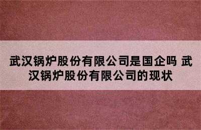 武汉锅炉股份有限公司是国企吗 武汉锅炉股份有限公司的现状